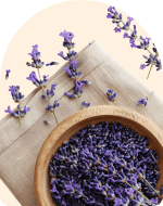 Lavender Essential Oil