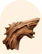 Rosewood Essential Oil