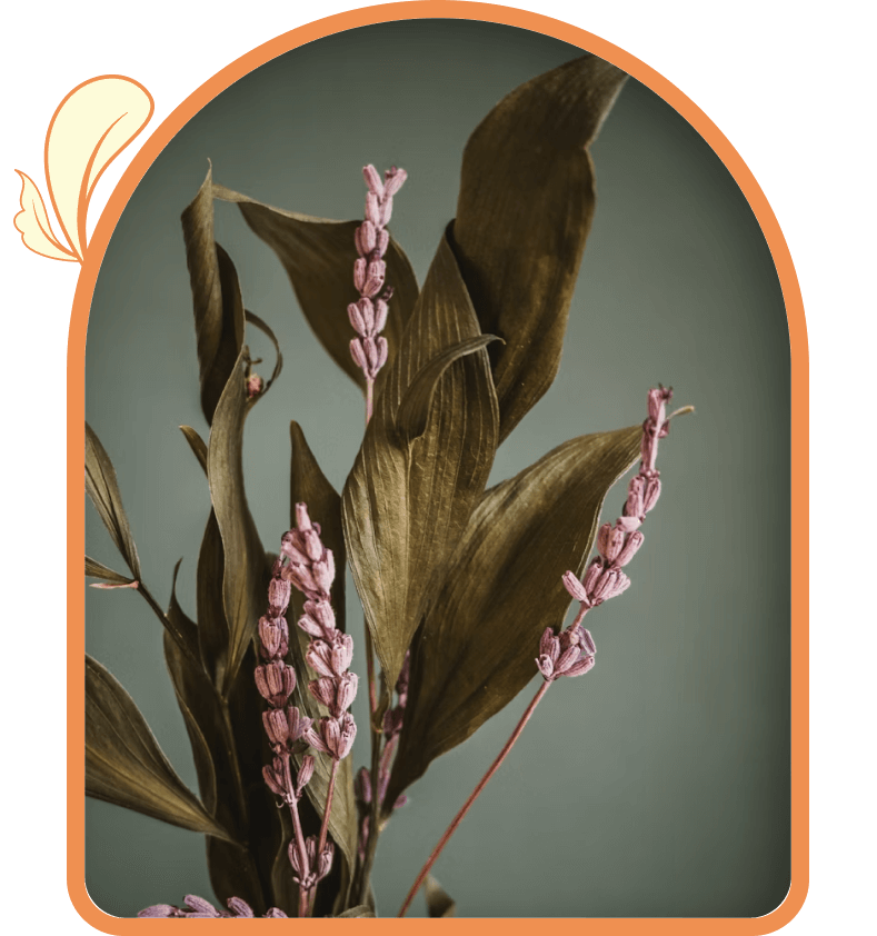 Natural ingredients