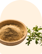 Brahmi