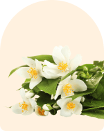 Neroli