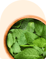 Pappermint