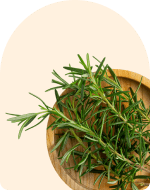 Rosemary